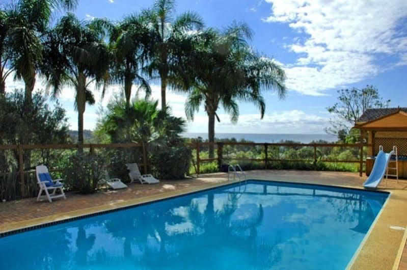 Ambience At Diggers Beach Coffs Harbour Ngoại thất bức ảnh